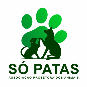 teste
